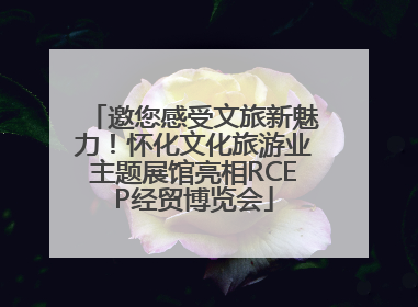 邀您感受文旅新魅力！怀化文化旅游业主题展馆亮相RCEP经贸博览会