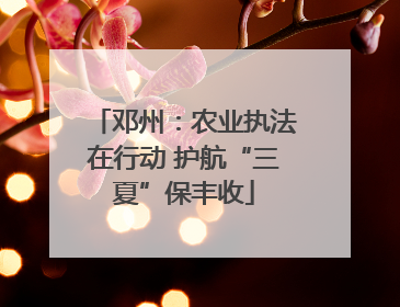 邓州：农业执法在行动 护航“三夏”保丰收