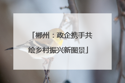郴州：政企携手共绘乡村振兴新图景