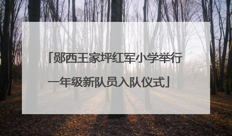 郧西王家坪红军小学举行一年级新队员入队仪式