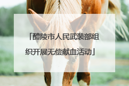 醴陵市人民武装部组织开展无偿献血活动