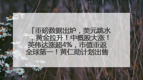 重磅数据出炉，美元跳水，黄金拉升！中概股大涨！英伟达涨超4%，市值重返全球第一！黄仁勋计划出售至多600万股股票