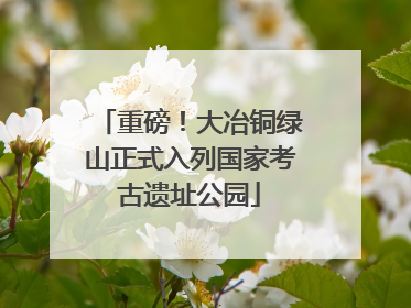 重磅！大冶铜绿山正式入列国家考古遗址公园