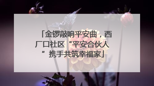 金锣敲响平安曲，西厂口社区“平安合伙人”携手共筑幸福家