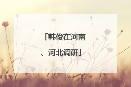 韩俊在河南、河北调研