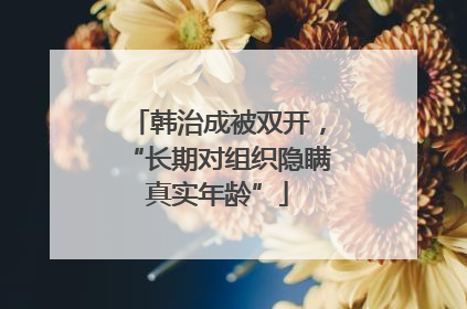 韩治成被双开，“长期对组织隐瞒真实年龄”