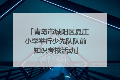 青岛市城阳区夏庄小学举行少先队队前知识考核活动