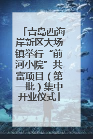 青岛西海岸新区大场镇举行“前河小院”共富项目（第一批）集中开业仪式