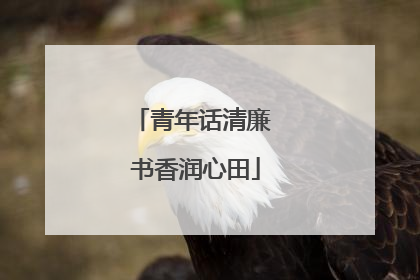 青年话清廉 书香润心田