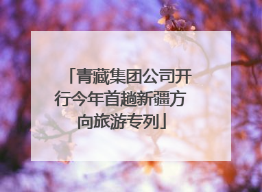 青藏集团公司开行今年首趟新疆方向旅游专列