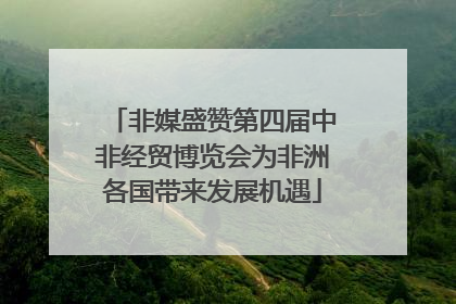 非媒盛赞第四届中非经贸博览会为非洲各国带来发展机遇