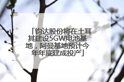 钧达股份将在土耳其建设5GW电池基地，阿曼基地预计今年年底建成投产