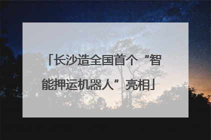 长沙造全国首个“智能押运机器人”亮相