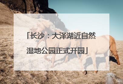 长沙：大泽湖近自然湿地公园正式开园