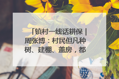 镇村一线话耕保｜周张博：村民但凡种树、建棚、盖房，都要向街道报批
