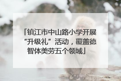 镇江市中山路小学开展“升级礼”活动，覆盖德智体美劳五个领域