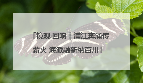 镜观·回响｜浦江奔涌传薪火 海派融新纳百川