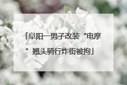 阜阳一男子改装“电摩”翘头骑行炸街被拘