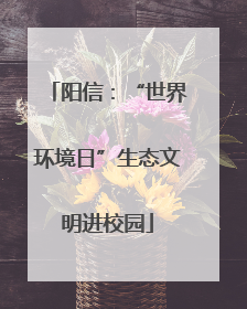 阳信：“世界环境日”生态文明进校园