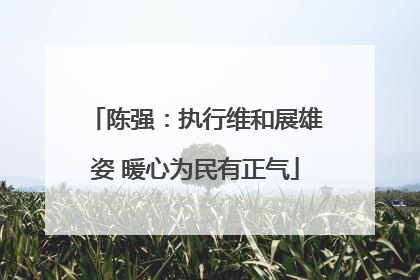 陈强：执行维和展雄姿 暖心为民有正气