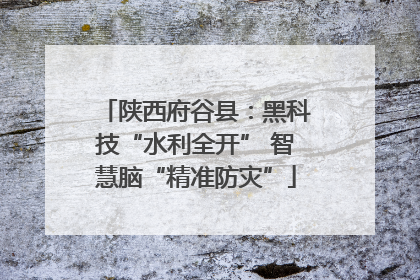 陕西府谷县：黑科技“水利全开” 智慧脑“精准防灾”