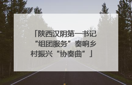 陕西汉阴第一书记“组团服务”奏响乡村振兴“协奏曲”