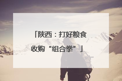 陕西：打好粮食收购“组合拳”