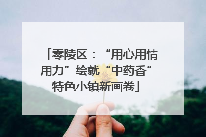 零陵区：“用心用情用力”绘就“中药香”特色小镇新画卷