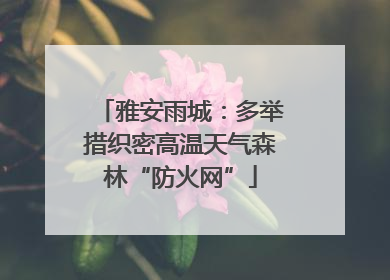 雅安雨城：多举措织密高温天气森林“防火网”