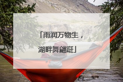 雨润万物生，湖畔舞翩跹