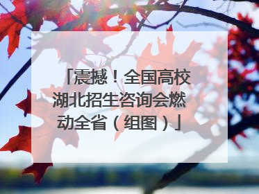 震撼！全国高校湖北招生咨询会燃动全省（组图）