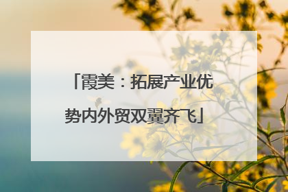 霞美：拓展产业优势内外贸双翼齐飞