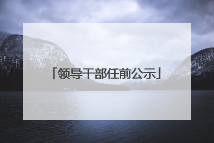 领导干部任前公示