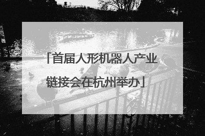 首届人形机器人产业链接会在杭州举办