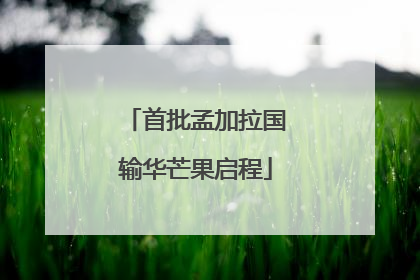 首批孟加拉国输华芒果启程
