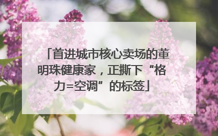 首进城市核心卖场的董明珠健康家，正撕下“格力=空调”的标签