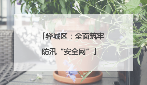 驿城区：全面筑牢防汛“安全网”