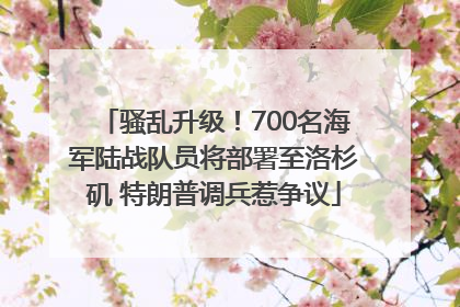骚乱升级！700名海军陆战队员将部署至洛杉矶 特朗普调兵惹争议