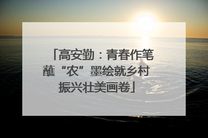 高安勤：青春作笔蘸“农”墨绘就乡村振兴壮美画卷