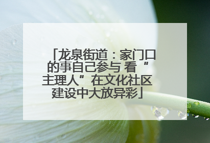 龙泉街道：家门口的事自己参与 看“主理人”在文化社区建设中大放异彩