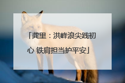 龚里：洪峰浪尖践初心 铁肩担当护平安
