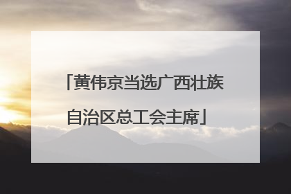 黄伟京当选广西壮族自治区总工会主席