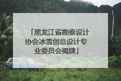 黑龙江省勘察设计协会冰雪创意设计专业委员会揭牌