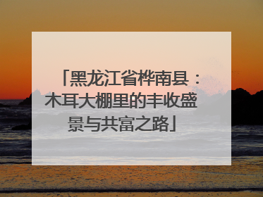 黑龙江省桦南县：木耳大棚里的丰收盛景与共富之路