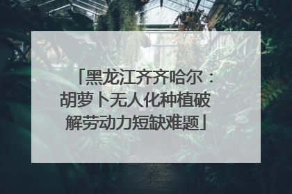 黑龙江齐齐哈尔：胡萝卜无人化种植破解劳动力短缺难题