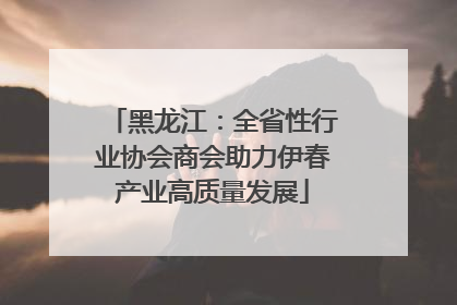 黑龙江：全省性行业协会商会助力伊春产业高质量发展