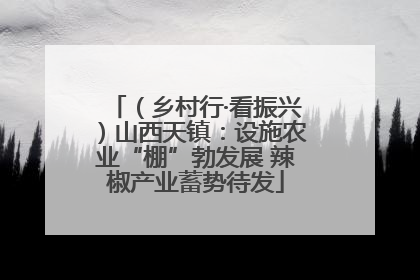 （乡村行·看振兴）山西天镇：设施农业“棚”勃发展 辣椒产业蓄势待发