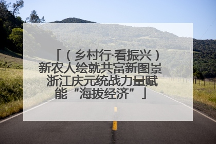 （乡村行·看振兴）新农人绘就共富新图景 浙江庆元统战力量赋能“海拔经济”