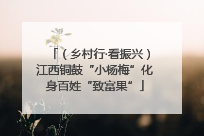 （乡村行·看振兴）江西铜鼓“小杨梅”化身百姓“致富果”