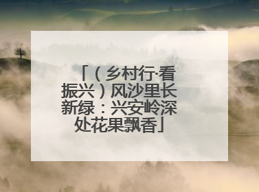 （乡村行·看振兴）风沙里长新绿：兴安岭深处花果飘香
